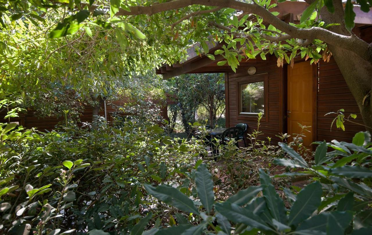 Zohar Badeshe Hotel Daliyya Exterior photo
